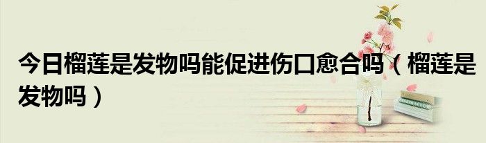 今日榴莲是发物吗能促进伤口愈合吗(榴莲是发物吗)