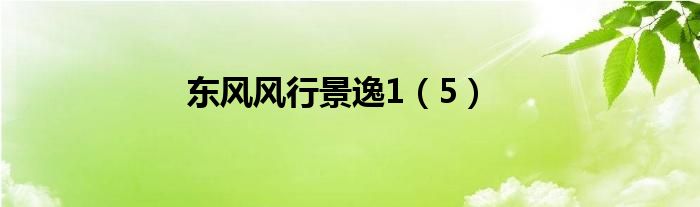 东风风行景逸1(5)