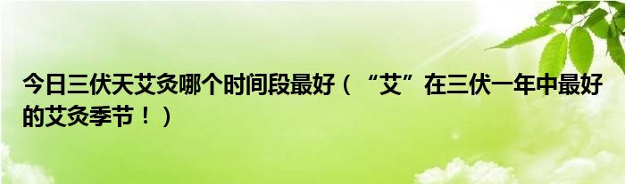 今日三伏天艾灸哪个时间段最好(“艾”在三伏一年中最好的艾灸季节!)