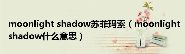 moonlight shadow苏菲玛索(moonlightshadow什么意思)