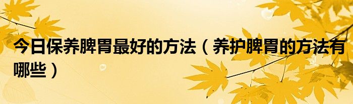 今日保养脾胃最好的方法(养护脾胃的方法有哪些)