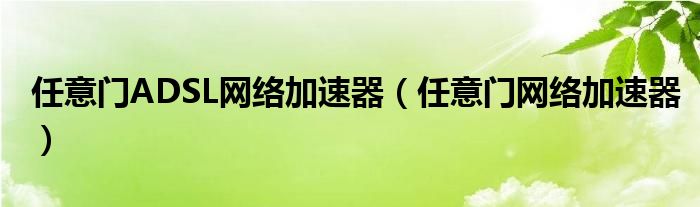 任意门ADSL网络加速器(任意门网络加速器)