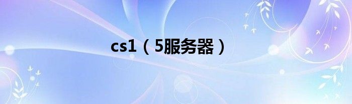 cs1（5服务器）