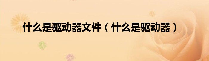 什么是驱动器文件(什么是驱动器)