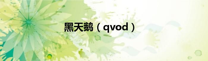 黑天鹅(qvod)