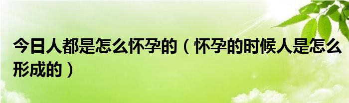 今日人都是怎么怀孕的(怀孕的时候人是怎么形成的)
