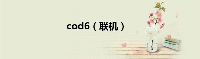 cod6（联机）