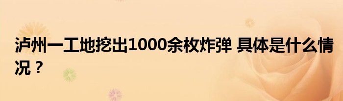 泸州一工地挖出1000余枚炸弹 具体是什么情况?