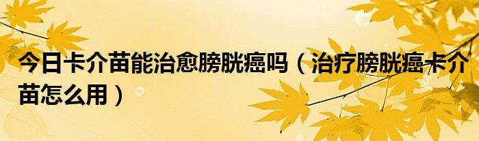 今日卡介苗能治愈膀胱癌吗(治疗膀胱癌卡介苗怎么用)