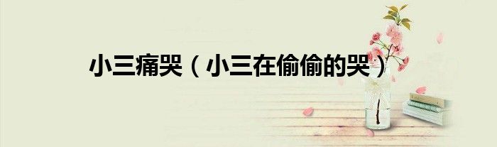 小三痛哭(小三在偷偷的哭)
