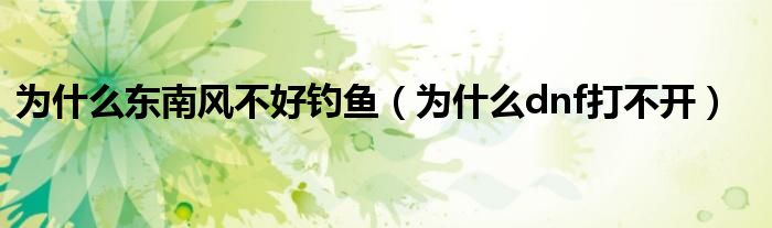 为什么东南风不好钓鱼(为什么dnf打不开)
