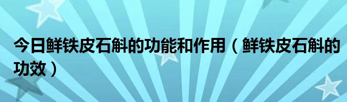 今日鲜铁皮石斛的功能和作用（鲜铁皮石斛的功效）