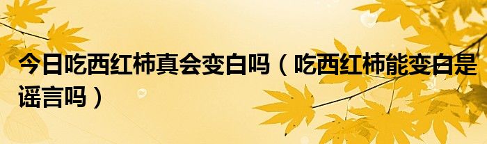 今日吃西红柿真会变白吗(吃西红柿能变白是谣言吗)