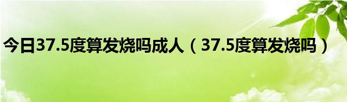 今日37.5度算发烧吗成人(37.5度算发烧吗)