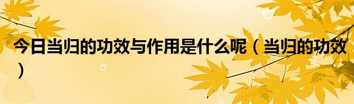 今日当归的功效与作用是什么呢(当归的功效)