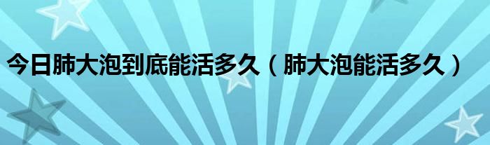 今日肺大泡到底能活多久(肺大泡能活多久)