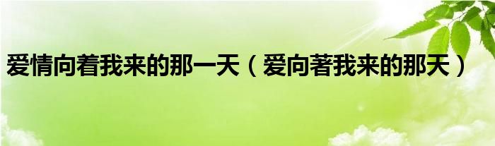 爱情向着我来的那一天（爱向著我来的那天）