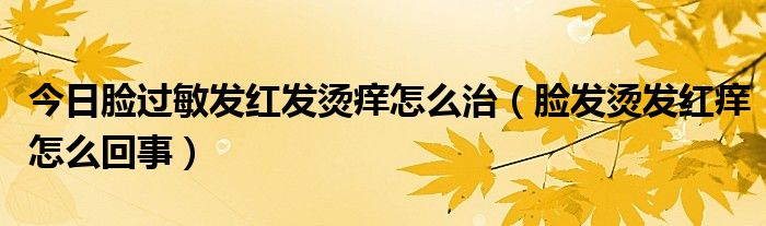 今日脸过敏发红发烫痒怎么治(脸发烫发红痒怎么回事)