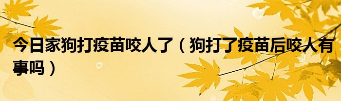 今日家狗打疫苗咬人了(狗打了疫苗后咬人有事吗)