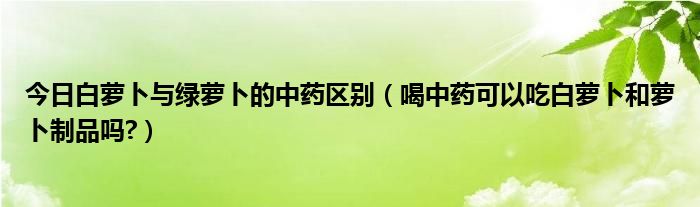 今日白萝卜与绿萝卜的中药区别(喝中药可以吃白萝卜和萝卜制品吗?)