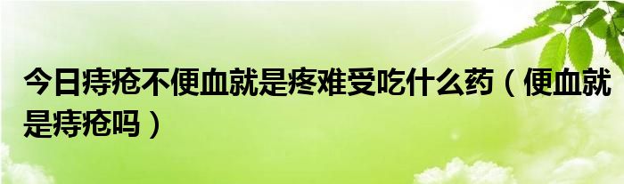 今日痔疮不便血就是疼难受吃什么药(便血就是痔疮吗)