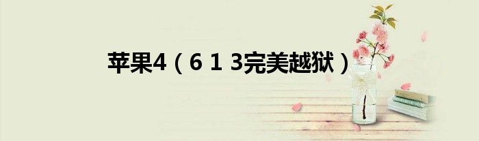 苹果4(6 1 3完美越狱)