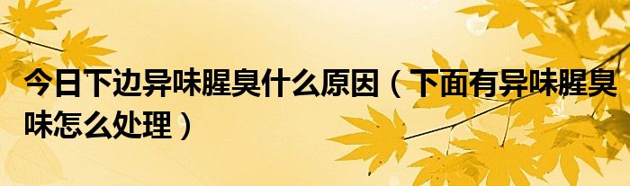 今日下边异味腥臭什么原因（下面有异味腥臭味怎么处理）