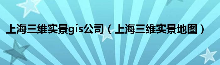 上海三维实景gis公司(上海三维实景地图)