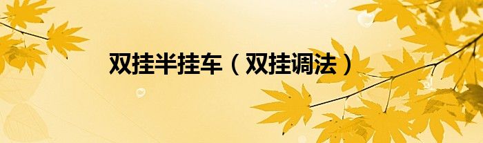 双挂半挂车（双挂调法）