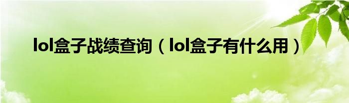 lol盒子战绩查询（lol盒子有什么用）