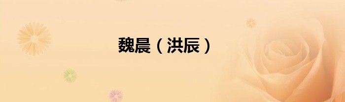 魏晨（洪辰）