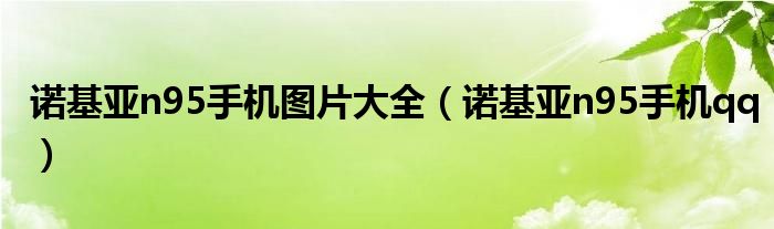 诺基亚n95手机图片大全(诺基亚n95手机qq)