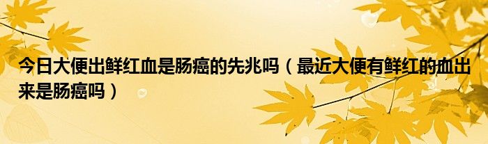 今日大便出鲜红血是肠癌的先兆吗(最近大便有鲜红的血出来是肠癌吗)