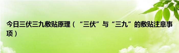 今日三伏三九敷贴原理（“三伏”与“三九”的敷贴注意事项）
