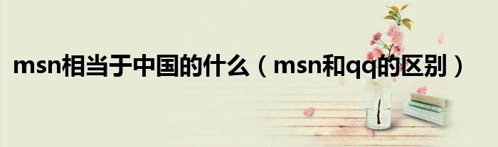 msn相当于中国的什么(msn和qq的区别)