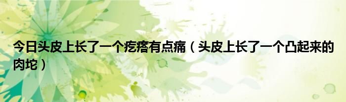 今日头皮上长了一个疙瘩有点痛(头皮上长了一个凸起来的肉坨)