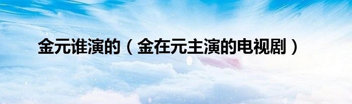 金元谁演的（金在元主演的电视剧）