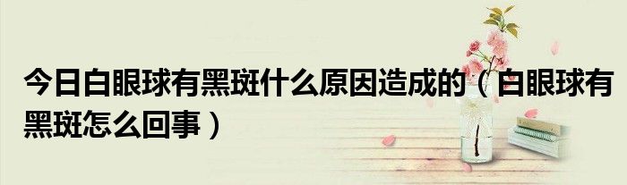 今日白眼球有黑斑什么原因造成的(白眼球有黑斑怎么回事)