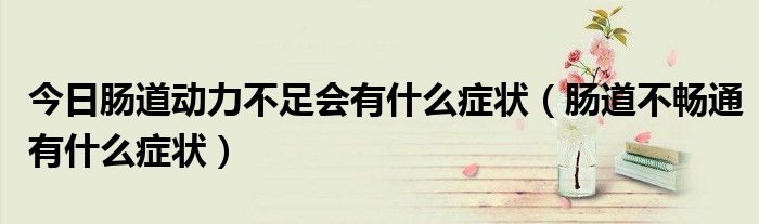 今日肠道动力不足会有什么症状（肠道不畅通有什么症状）