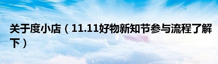 关于度小店(11.11好物新知节参与流程了解下)