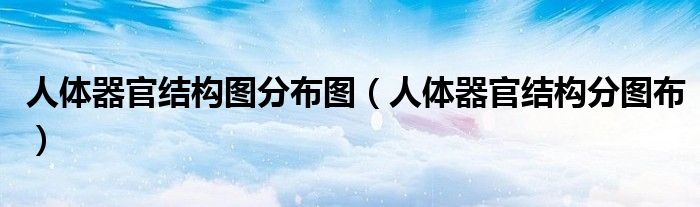 人体器官结构图分布图(人体器官结构分图布)
