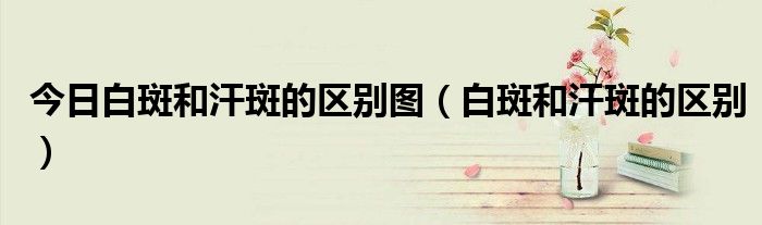 今日白斑和汗斑的区别图(白斑和汗斑的区别)