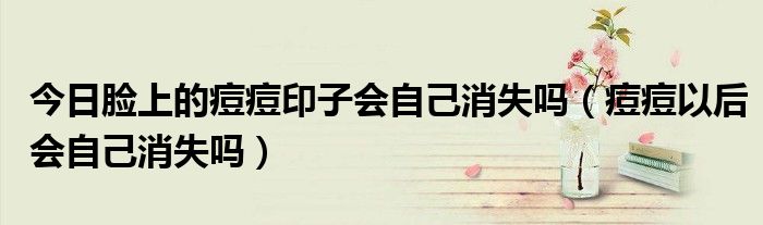 今日脸上的痘痘印子会自己消失吗(痘痘以后会自己消失吗)
