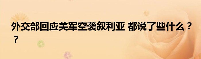 外交部回应美军空袭叙利亚 都说了些什么??