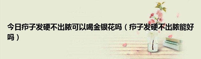 今日疖子发硬不出脓可以喝金银花吗(疖子发硬不出脓能好吗)