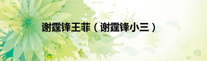谢霆锋王菲（谢霆锋小三）