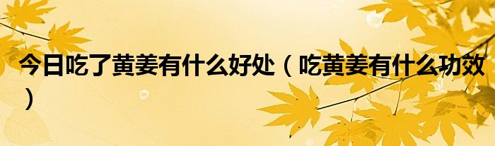 今日吃了黄姜有什么好处(吃黄姜有什么功效)