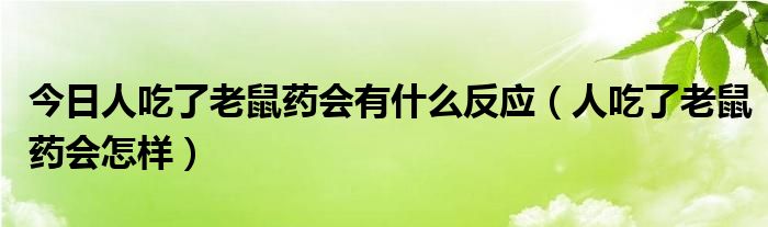 今日人吃了老鼠药会有什么反应(人吃了老鼠药会怎样)