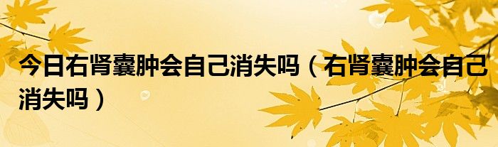 今日右肾囊肿会自己消失吗(右肾囊肿会自己消失吗)