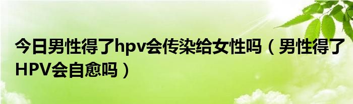 今日男性得了hpv会传染给女性吗(男性得了HPV会自愈吗)